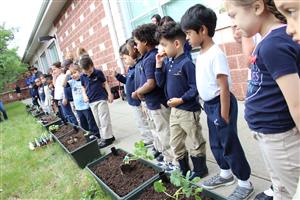 kids plant 